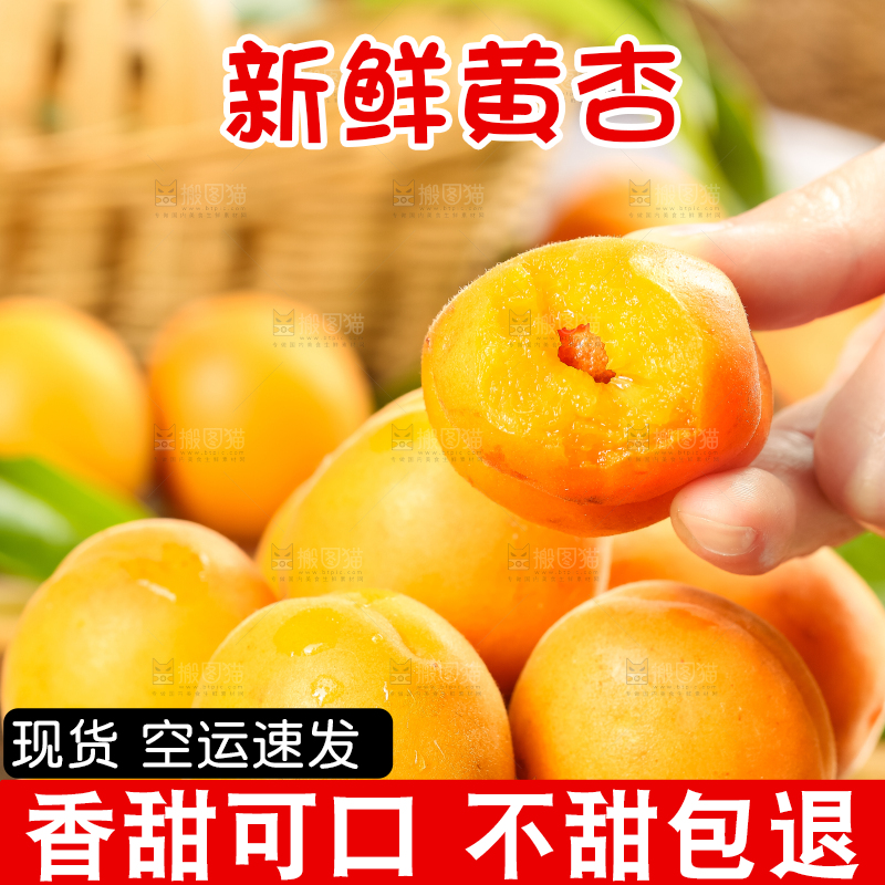 黑底上放着黄杏
