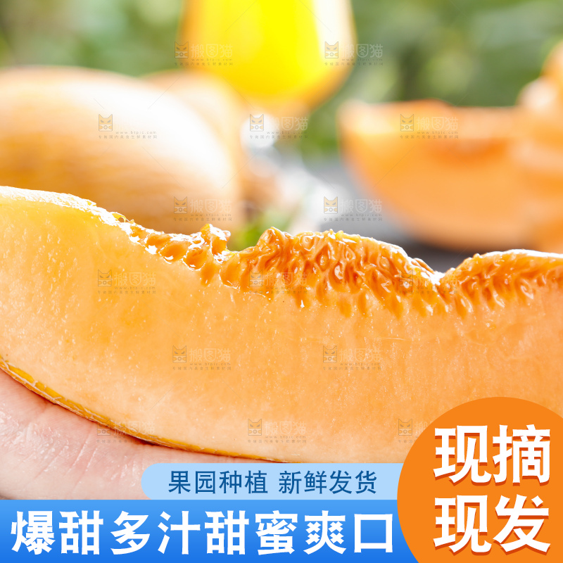 手里拿着黄皮哈密瓜