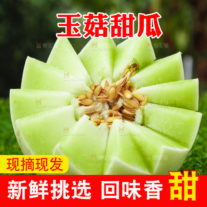 绿草地上摆放着玉菇甜瓜