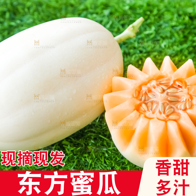 草地上放着东方蜜瓜