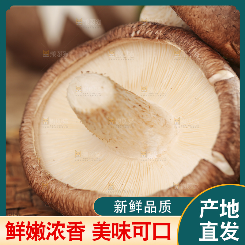 编织垫上放着香菇