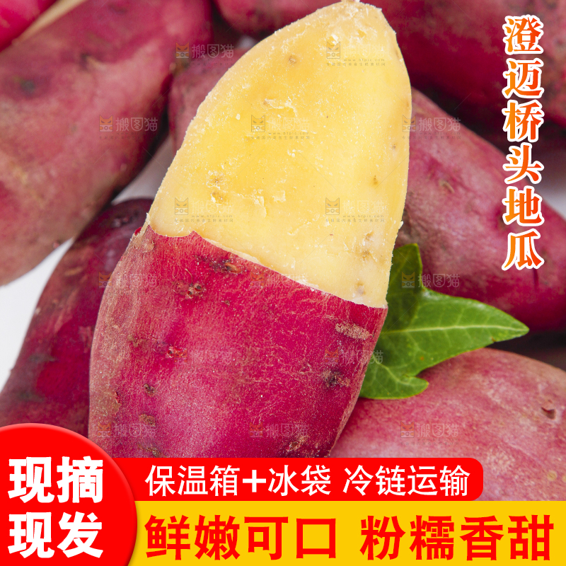 白底上摆放着桥头红薯