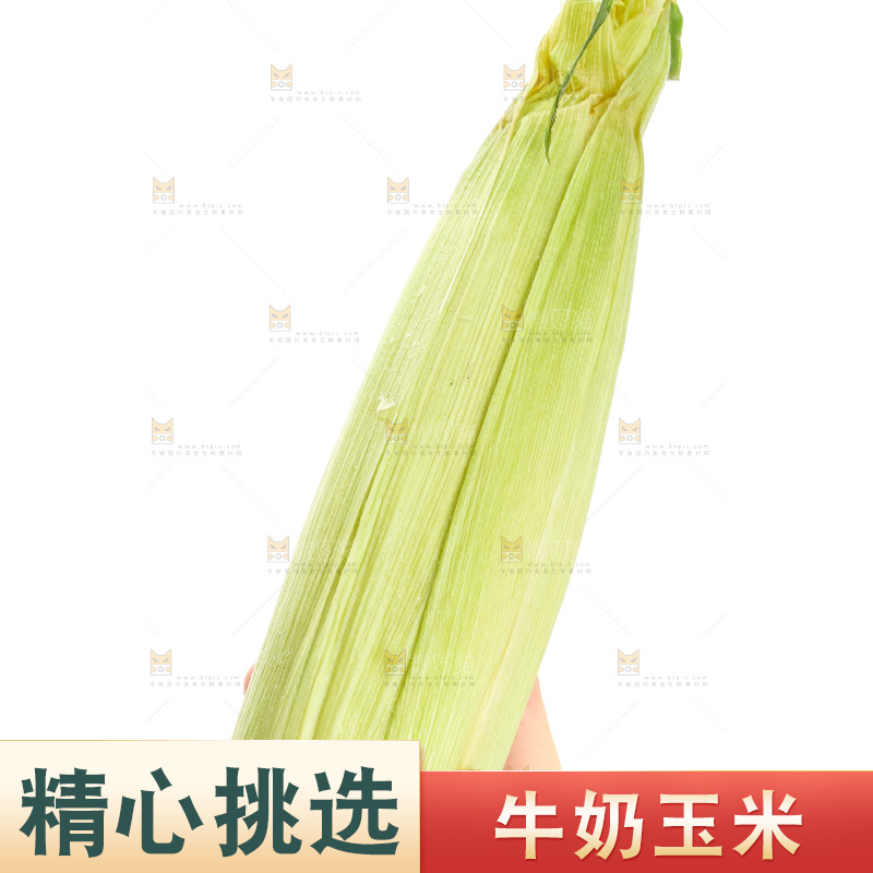 手里拿着白玉米