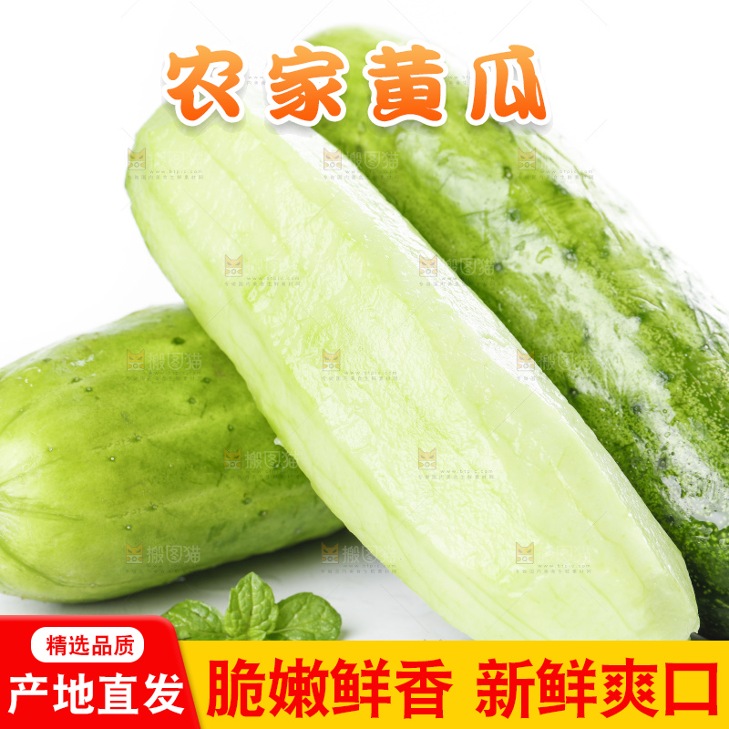 白底上放着刺黄瓜