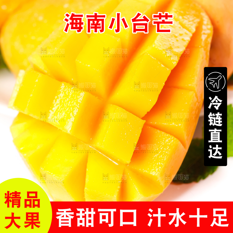 白底上摆放着小台农芒果