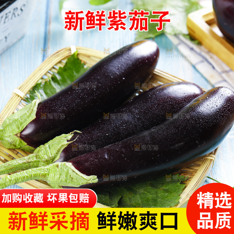 浅底上摆放着紫茄子