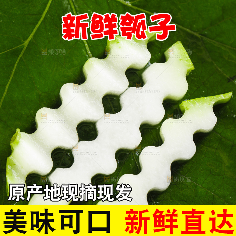绿叶上放着切丝的瓠子瓜
