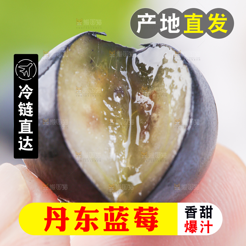 手里拿着蓝莓果