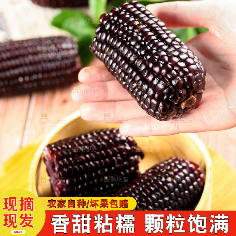 蒸笼里放着黑玉米