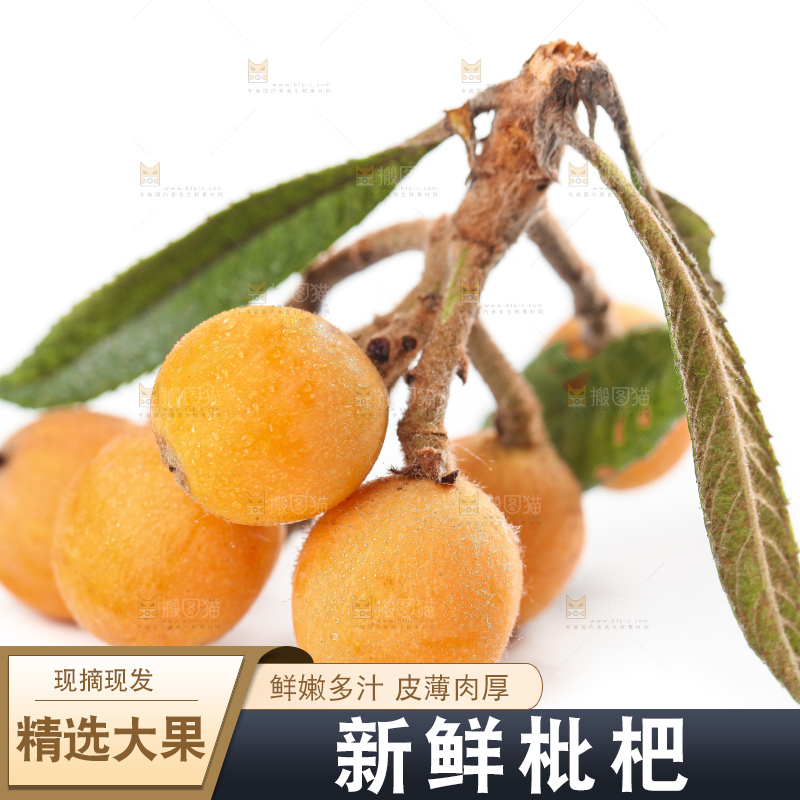 白底上放着云南蒙自枇杷