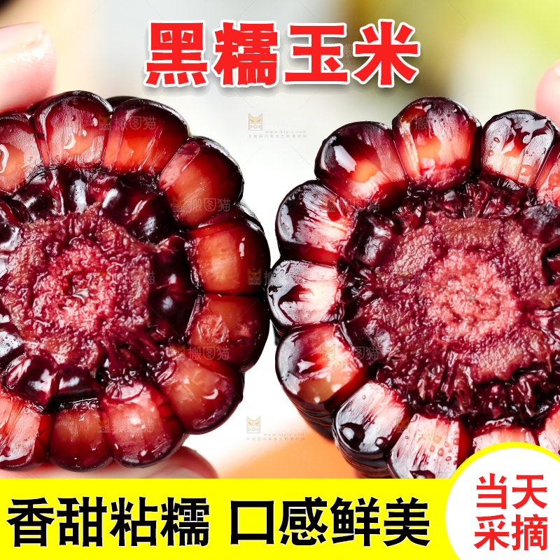 手里拿着黑珍珠玉米