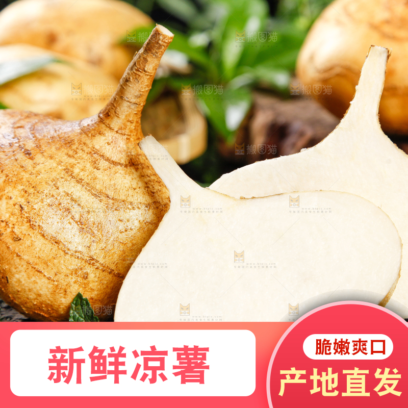 黑底上摆放着广西新鲜凉薯