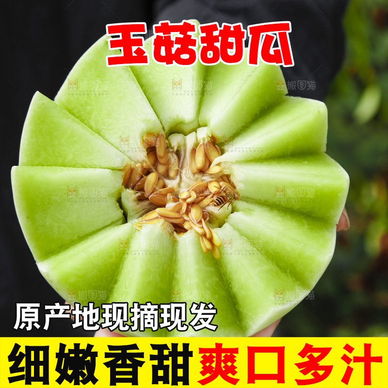 手里拿着玉菇香瓜