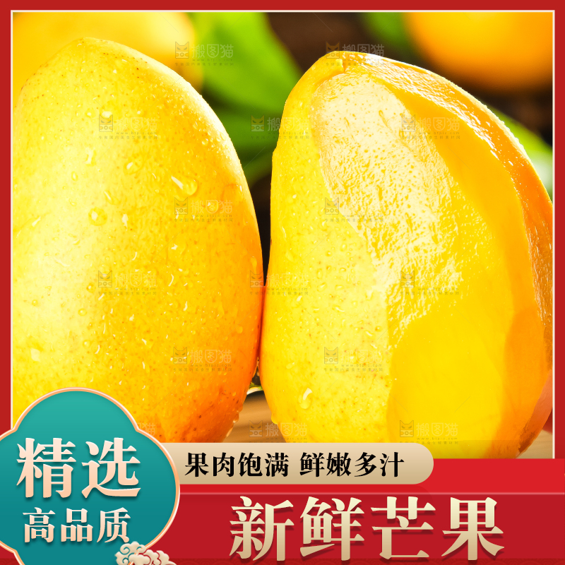 手里拿着台农芒果