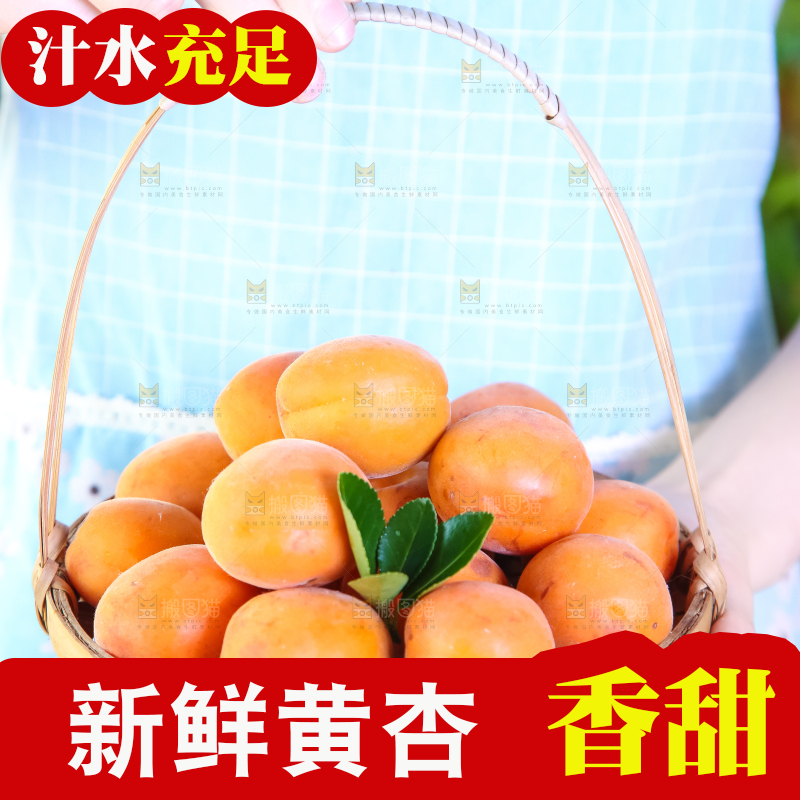 手里提着一篮烟台杏子