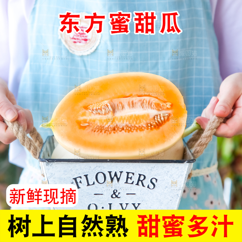 手里提着蜜瓜