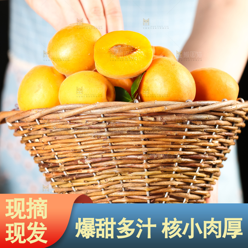 手里拿着一篮山东大黄杏