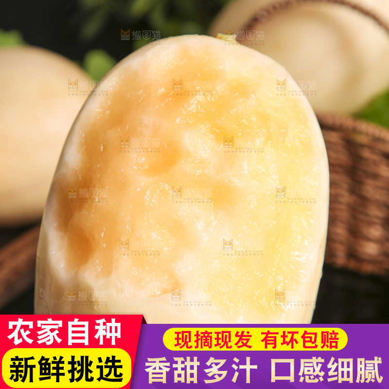 手里拿着蜜甜瓜
