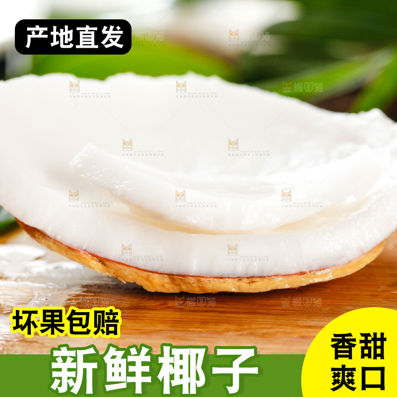木底上摆放着海南椰子