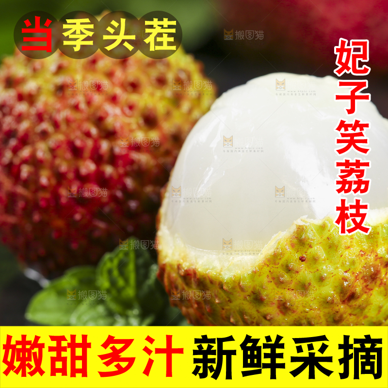 黑底上放着福建妃子笑