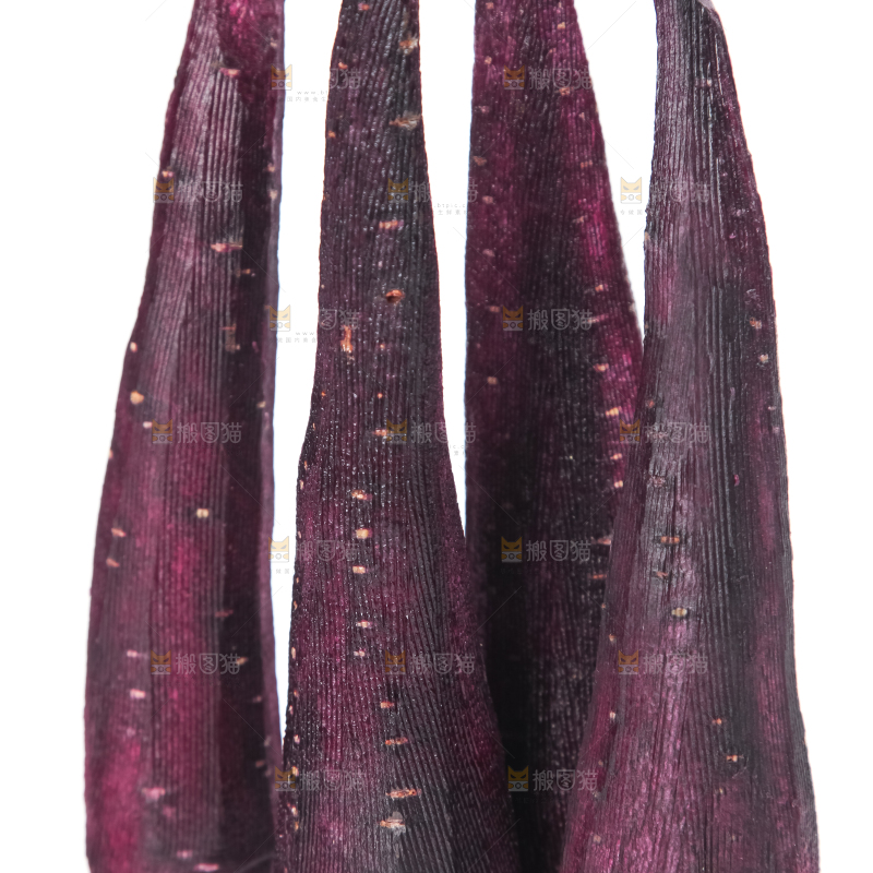 白底上摆放着大理紫胡萝卜