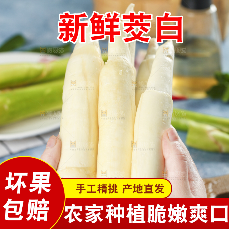 手里拿着农家茭白