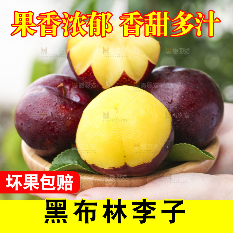 手里拿着一盘黑布林