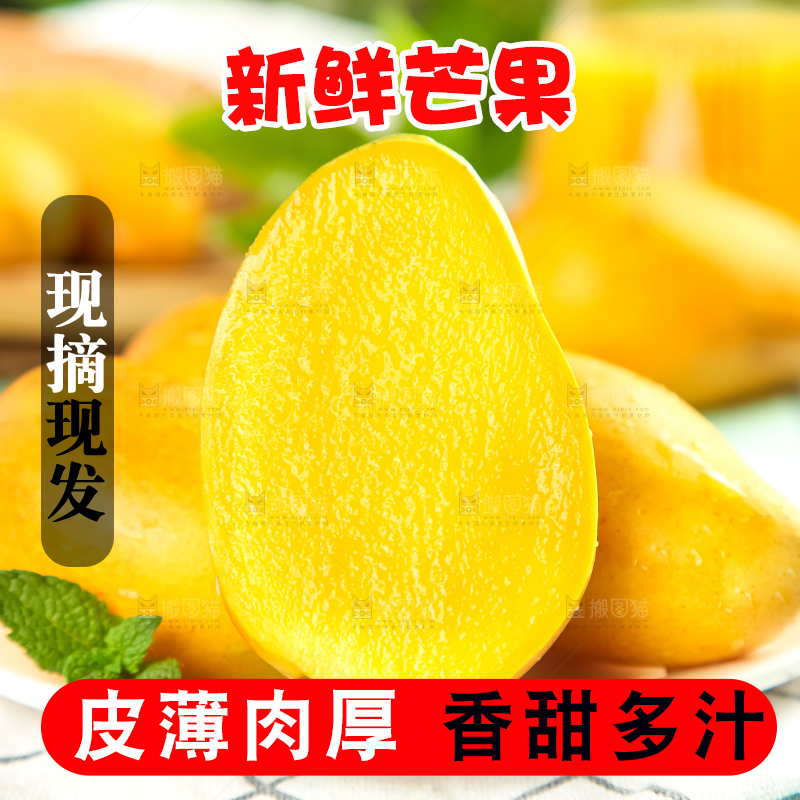 格子底上摆放着小台芒