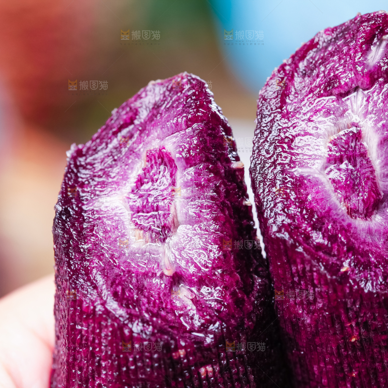 手里拿着紫胡萝卜