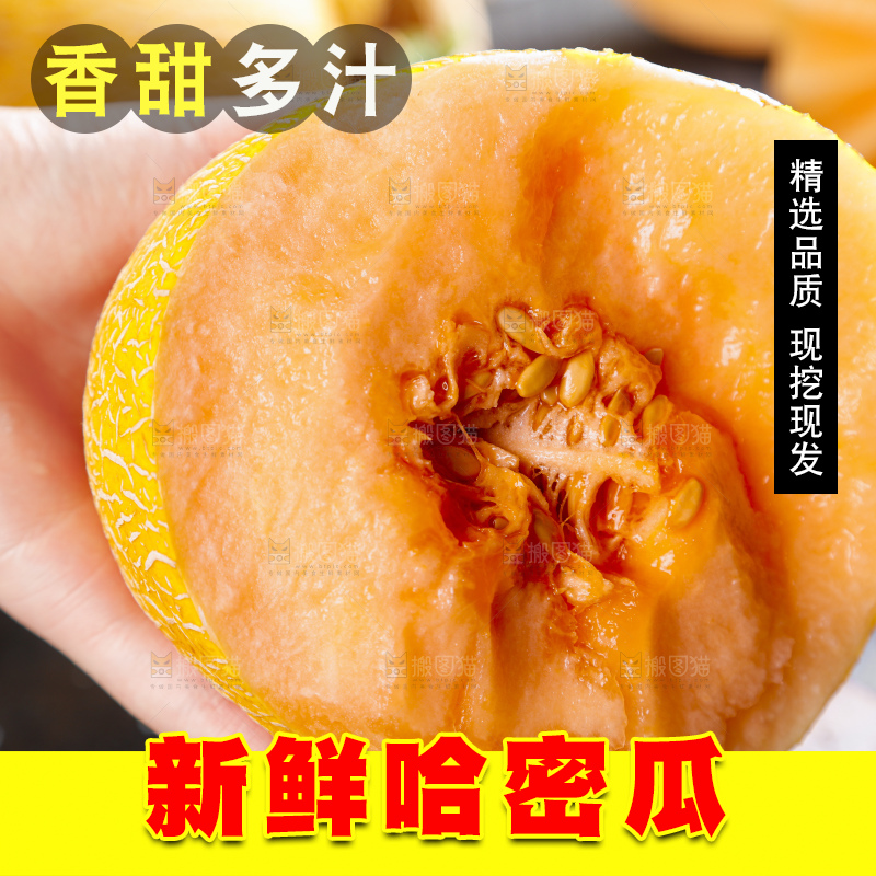 手里拿着黄皮哈密瓜