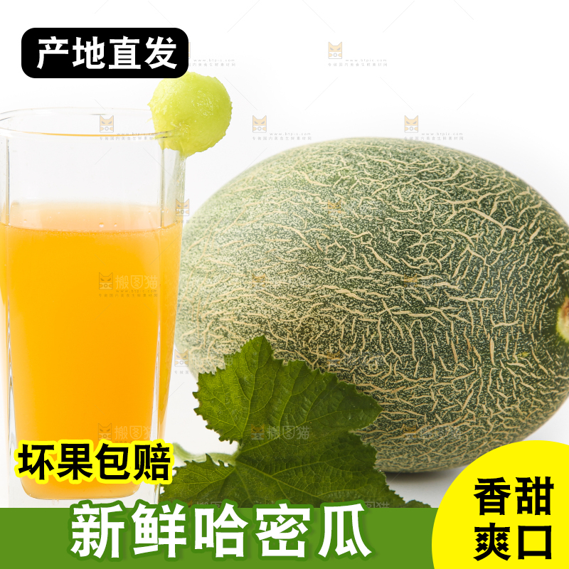 白底上摆放着哈密瓜