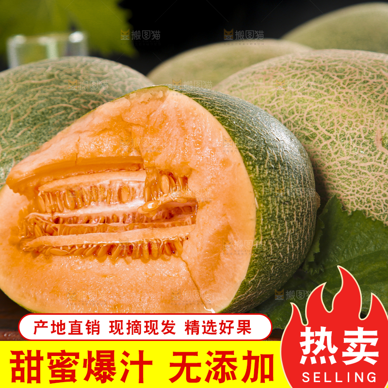 木底上摆放着网纹瓜
