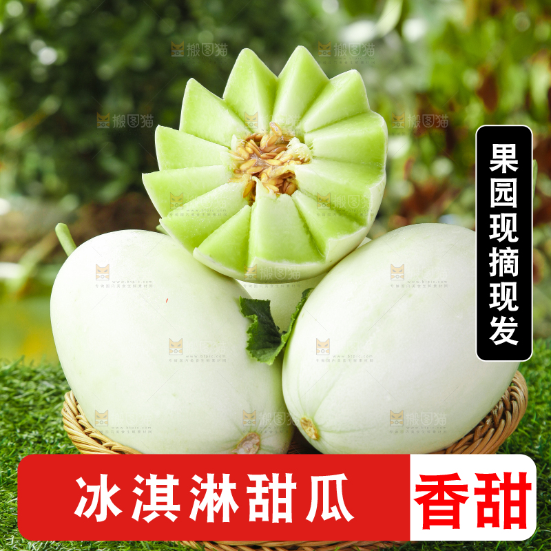 篮子里装着玉菇甜瓜