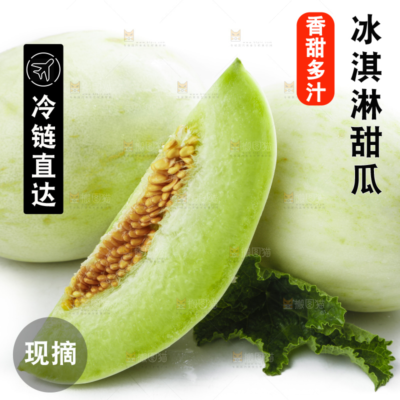 白底上摆放着山东玉菇甜瓜