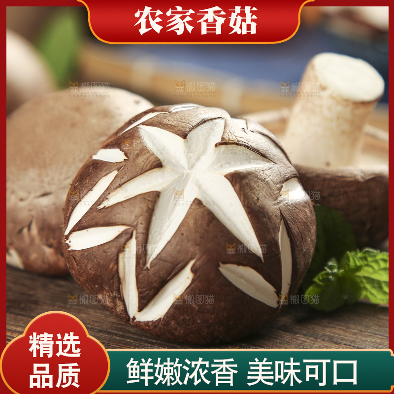 木底上摆放着香菇