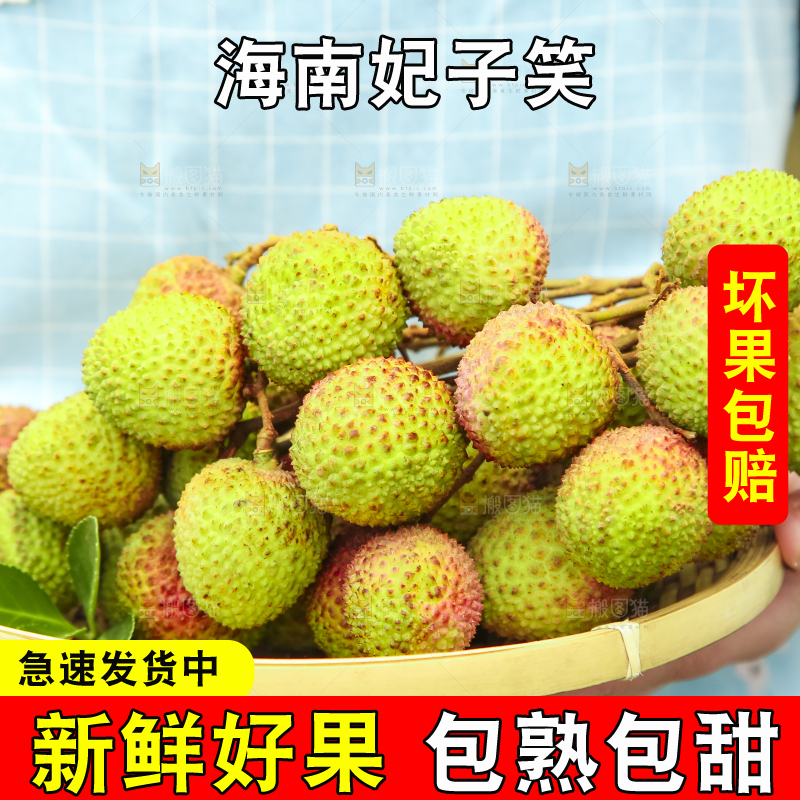 手里拿着妃子笑荔枝