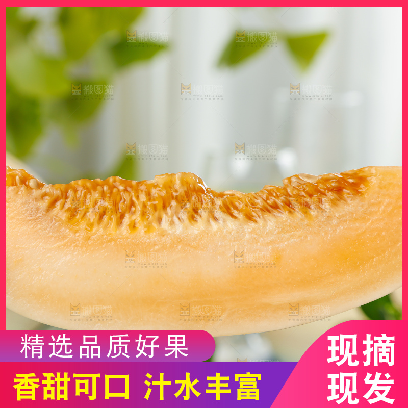 手里拿着蜜甜瓜