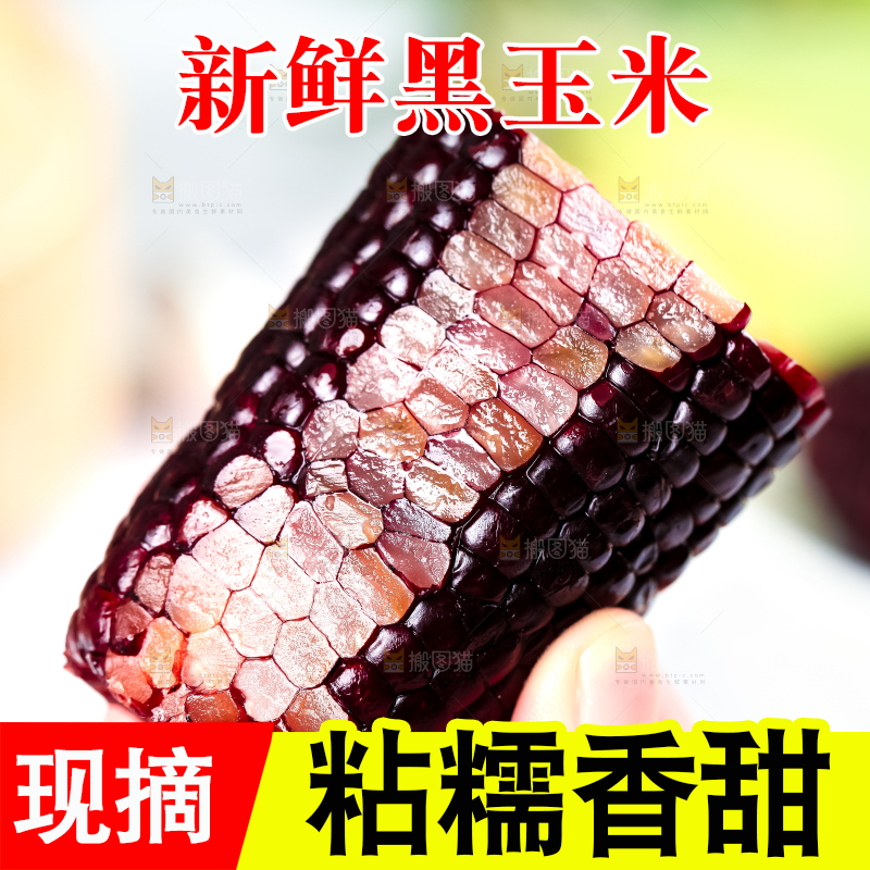 手里拿着黑珍珠玉米