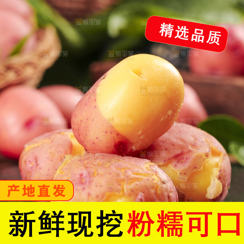 黑底上放着红皮黄心土豆