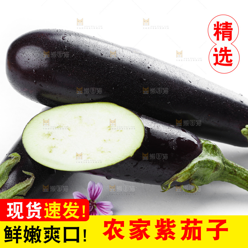 白底上摆放着紫茄子