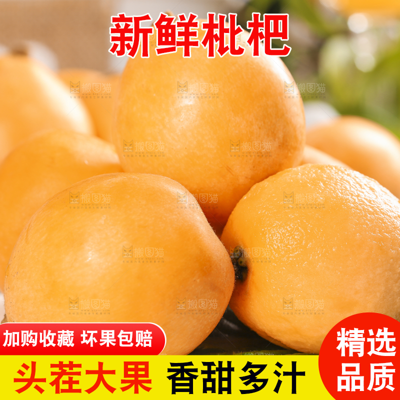 浅底上摆放着蒙自枇杷