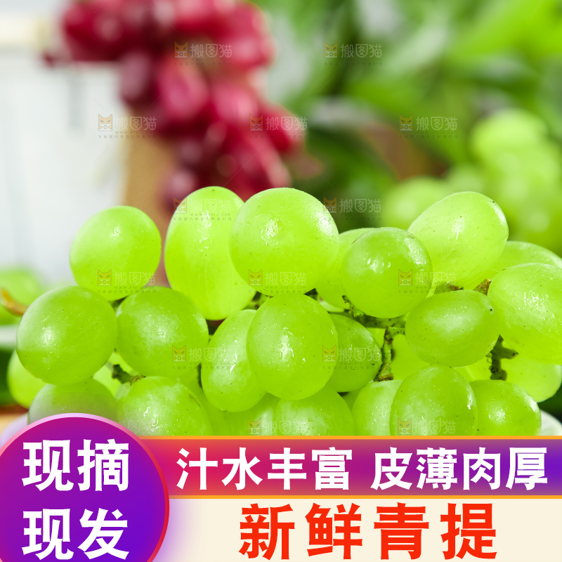 盘子里装着青提
