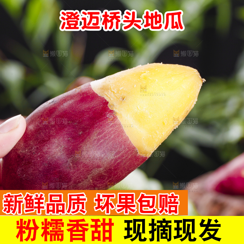 手里拿着桥头地瓜