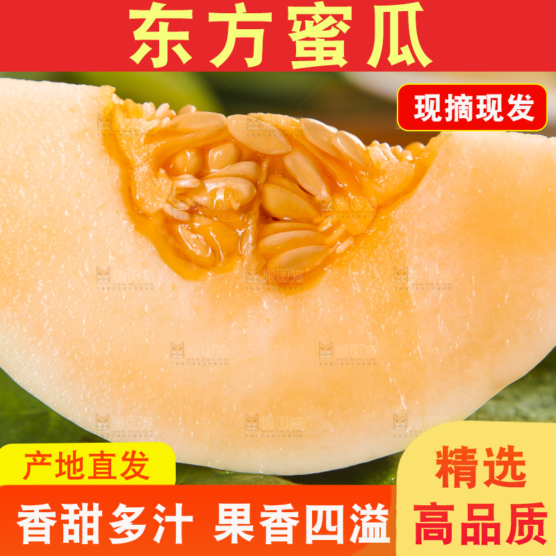 绿叶上放着蜜瓜