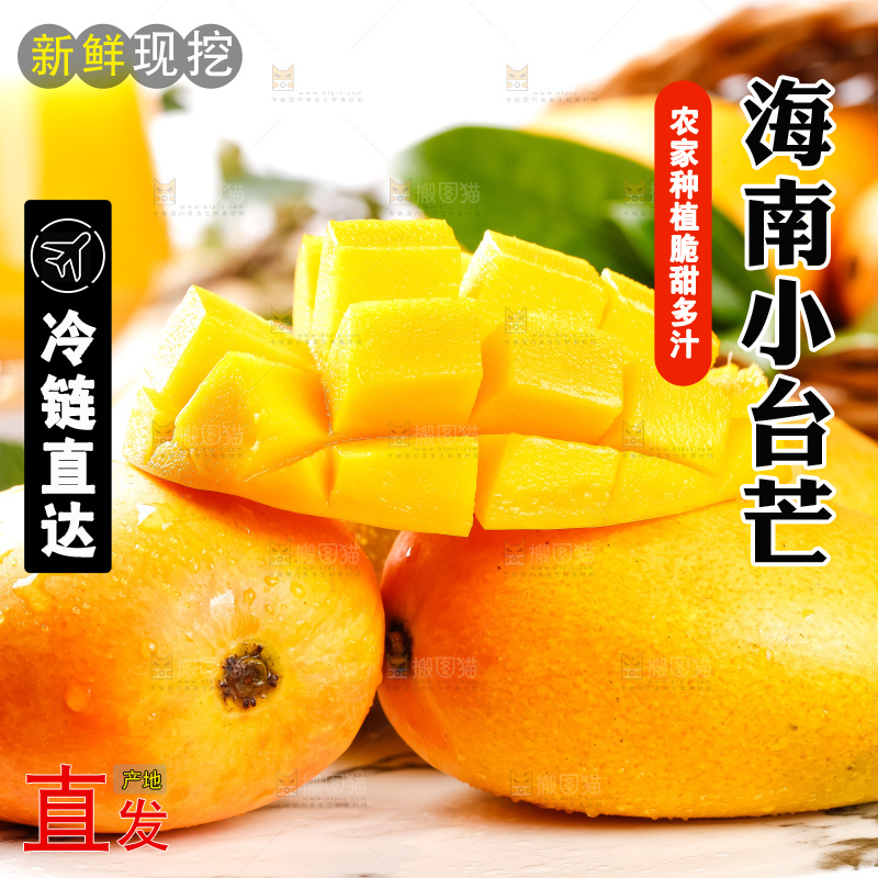 白底上放着新鲜台农芒