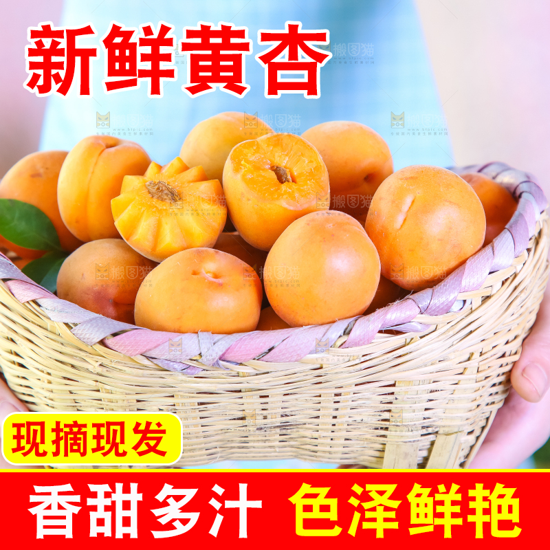 手里拿着一篮金太阳大黄杏