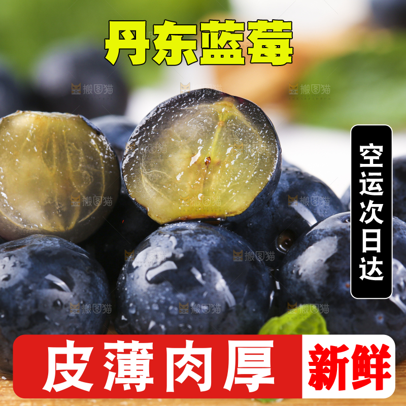 木板上摆放着新鲜蓝莓