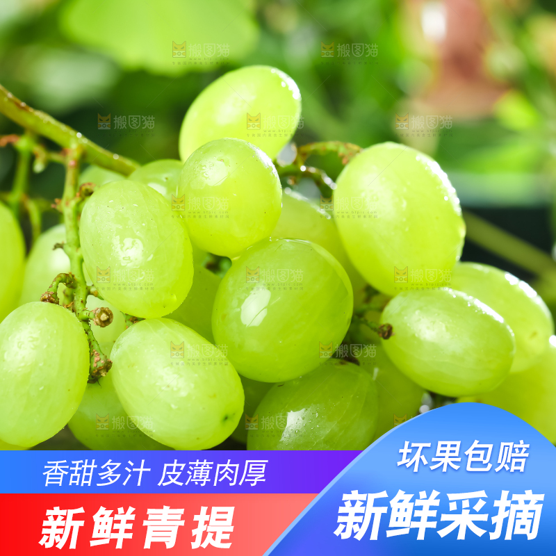 石板上放着澳洲无籽青提