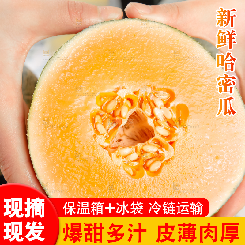 手里拿着网纹瓜