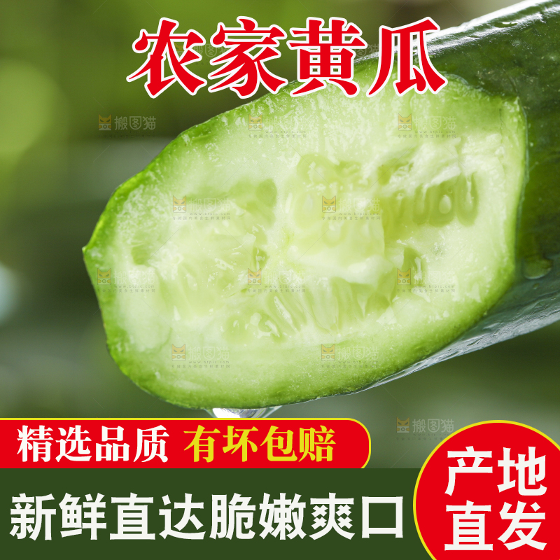 手里拿着小青瓜